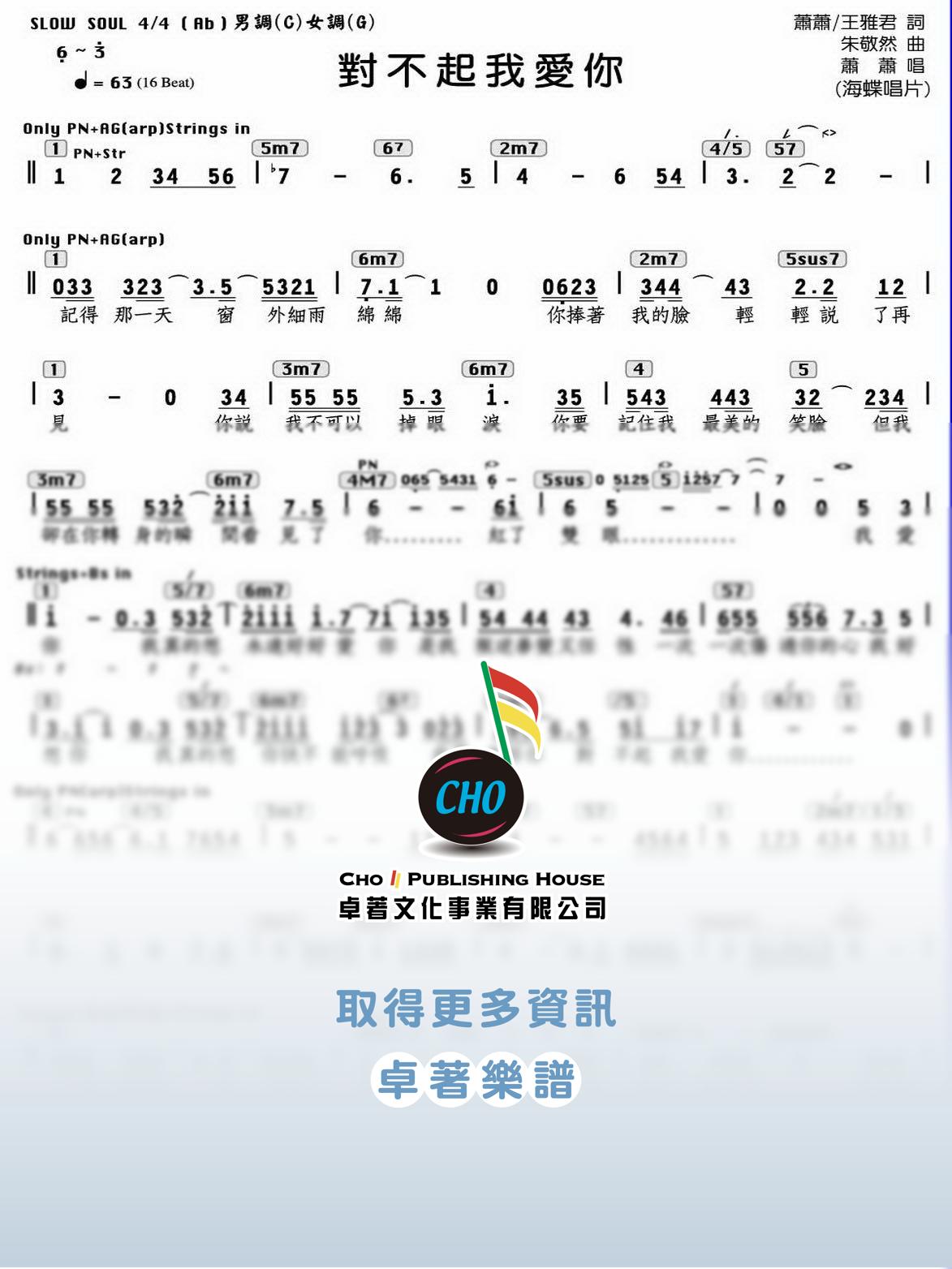 對不起我愛你